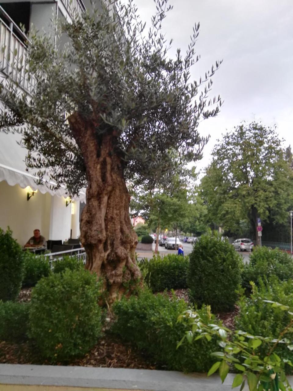 Hotel Carolinenhof 3*